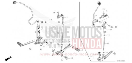 PEDALE CB1000RAP de 2023
